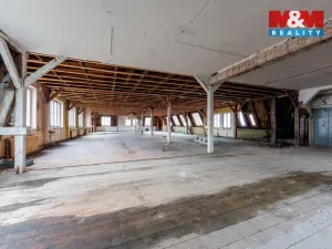 Prodej činžovního domu, Aš, Kotkova, 2400 m2