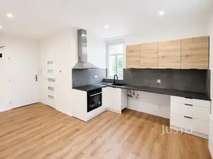 Pronájem bytu 1+1, Velké Březno, 47 m2