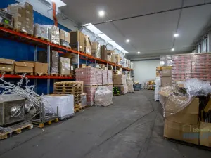 Pronájem výrobních prostor, Brandýs nad Labem-Stará Boleslav, 483 m2