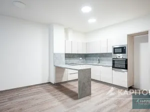 Pronájem bytu 1+kk, Veselí nad Moravou, Zámecká, 52 m2