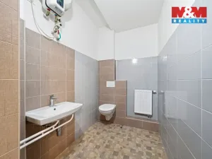 Prodej rodinného domu, Písařov - Bukovice, 347 m2