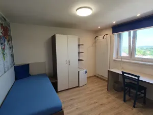 Pronájem pokoje, Ostrava, Koblovská, 9 m2