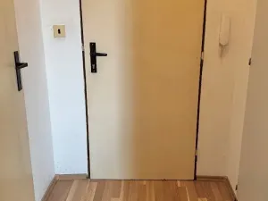 Prodej bytu 1+kk, Ostrava, Heleny Salichové, 27 m2