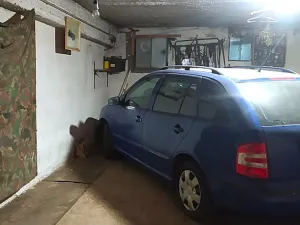 Prodej garážového stání, Havířov - Město, Moskevská, 15 m2