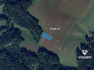 Prodej pole, Zborov, 2144 m2