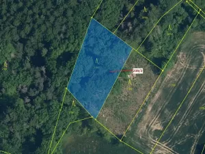 Dražba lesa, Jenišovice, 2305 m2