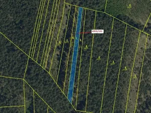 Dražba lesa, Vracov, 1174 m2