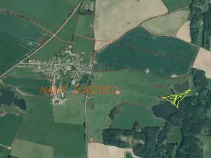 Dražba louky, Chodský Újezd, 13137 m2