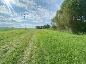 Dražba louky, Maleč, 6901 m2