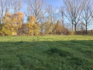 Prodej pozemku pro bydlení, Strýčice, 4191 m2