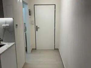 Pronájem bytu 1+kk, Praha - Vinohrady, Nad olšinami, 25 m2