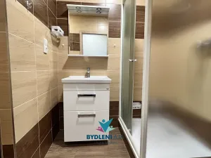 Pronájem bytu 1+kk, Teplice, Krušnohorská, 33 m2