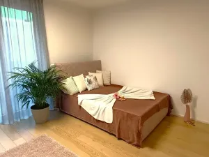 Pronájem bytu 1+kk, Praha - Vršovice, Altajská, 40 m2
