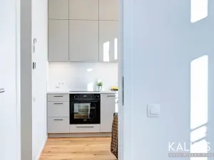 Pronájem bytu 2+kk, Hradec Králové, Eliščino nábřeží, 30 m2