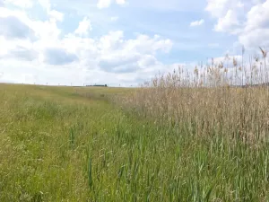 Dražba pozemku, Meziměstí, 2273 m2