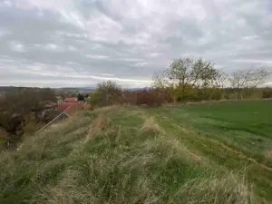 Dražba pole, Židovice, 123 m2