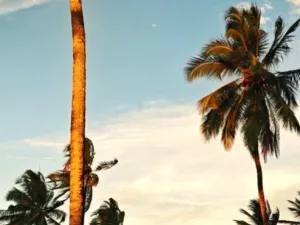 Prodej rodinného domu, Ostrov, Klínovecká, 115 m2