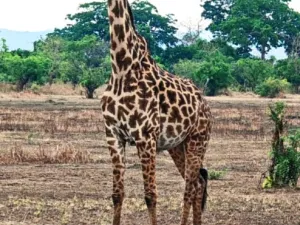 Prodej rodinného domu, Ostrov, Klínovecká, 115 m2