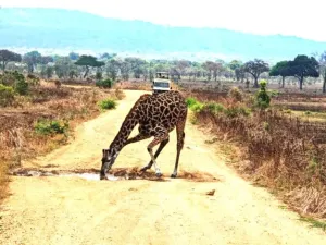 Prodej rodinného domu, Ostrov, Klínovecká, 115 m2