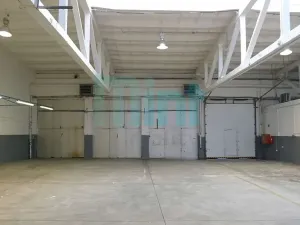 Pronájem skladu, Ostrava, Teslova, 348 m2