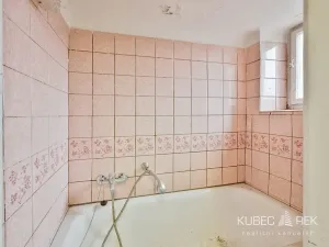 Prodej rodinného domu, Tábor, V Krátké, 210 m2