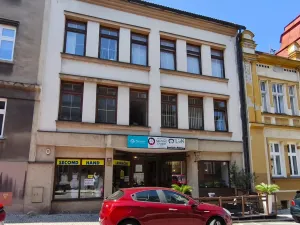 Pronájem obchodního prostoru, Nový Jičín, Havlíčkova, 114 m2