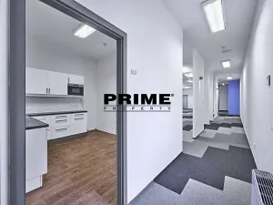Pronájem kanceláře, Praha - Nové Město, Soukenická, 401 m2