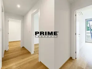 Pronájem bytu 4+kk, Praha - Smíchov, Holečkova, 174 m2