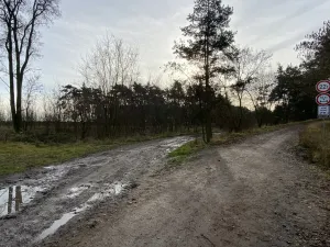 Prodej lesa, Kostelní Lhota, 9438 m2