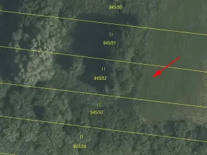 Prodej louky, Cerekvice nad Loučnou, 1828 m2