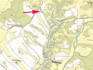 Prodej lesa, Dubnice, 1405 m2