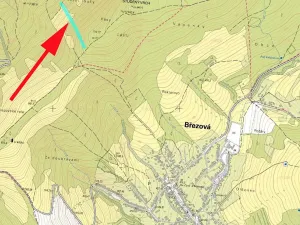 Prodej lesa, Suchá Loz, 10956 m2