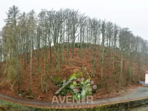 Prodej bytu 2+kk, Desná, Krátká, 32 m2