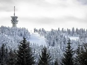 Prodej bytu 1+kk, Loučná pod Klínovcem, 35 m2