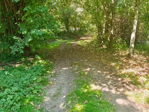 Prodej pozemku pro bydlení, Jedlá, 2598 m2