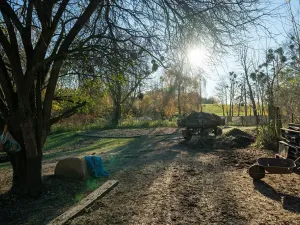 Pronájem - jiné, Markvartovice, 111 m2