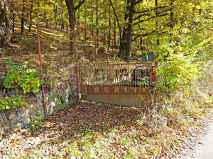 Prodej chaty, Kaliště, 30 m2