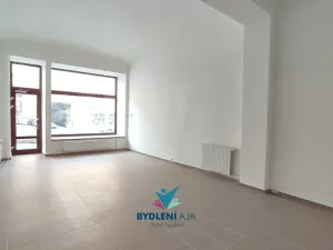 Pronájem obchodního prostoru, Teplice, Masarykova třída, 120 m2