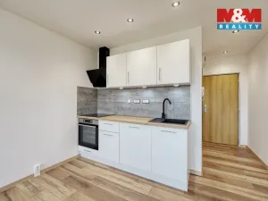 Prodej bytu 1+kk, Horní Bříza, U Vrbky, 25 m2