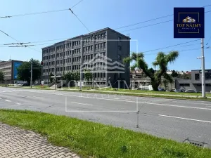 Pronájem ordinace, Ostrava, 228 m2