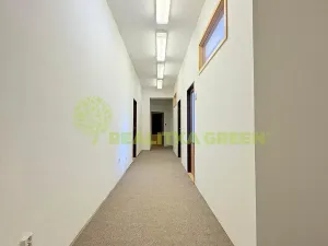 Pronájem obchodního prostoru, Halenkov, 15 m2