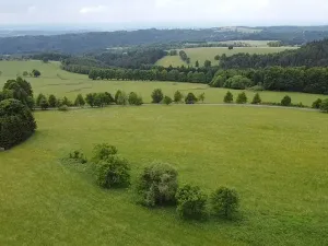 Dražba louky, Říčky v Orlických horách, 1426 m2
