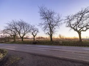 Prodej zahrady, Chotěboř, Hromádky z Jistebnice, 5327 m2