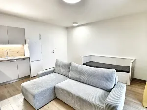 Pronájem bytu 1+kk, Kladno, Štěpána Rautenstraucha, 31 m2