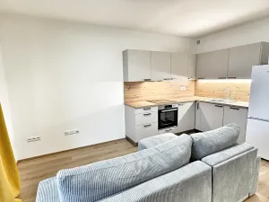 Pronájem bytu 1+kk, Kladno, Štěpána Rautenstraucha, 31 m2