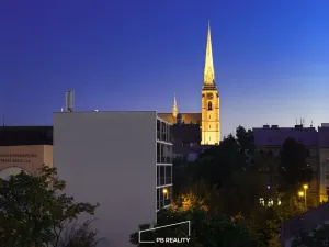 Pronájem bytu 2+kk, Plzeň, Kamenická, 55 m2