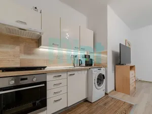 Prodej bytu 1+kk, Havířov, Balzacova, 24 m2