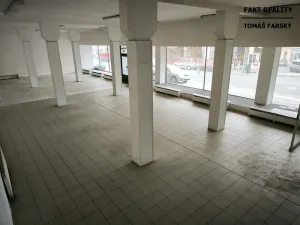 Pronájem obchodního prostoru, Děčín, Teplická, 456 m2