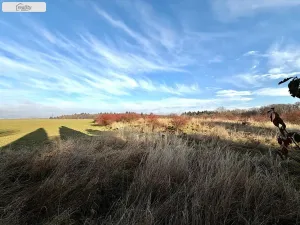 Pronájem rodinného domu, Jesenice - Zdiměřice, Skřivanová, 345 m2