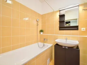 Pronájem bytu 2+kk, Brno, Bučkova, 49 m2